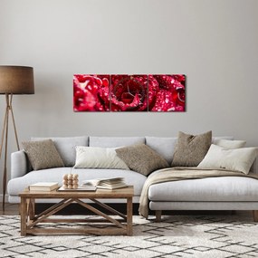 Tablou cu floarea trandafirului roșu (cu ceas) (90x30 cm)