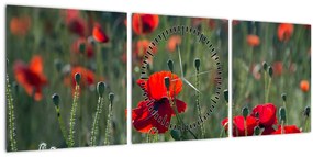 Tablou - Lunca cu maci (cu ceas) (90x30 cm)