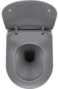 Vas WC Deante Peonia antracit