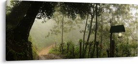 Tablou cu ceața de dimineața (120x50 cm)