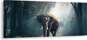 Tablou cu elefant în djunglă (120x50 cm)