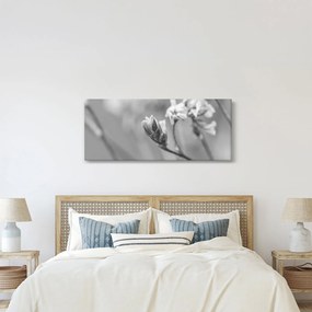 Tablou - Floare înflorită (120x50 cm)