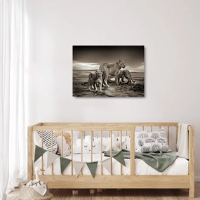 Tablou pe sticlă cu leii alb negri (70x50 cm)