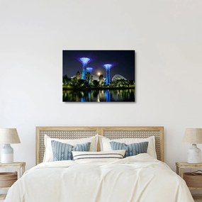 Tablou pe sticlă cu lună plină în grădinile din Singapur (70x50 cm)