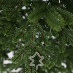 Molid Natura 100% 210 cm