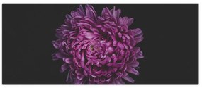 Tablou cu floare violetă (120x50 cm)