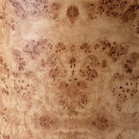 Scaun design LUX, Furnir Burl Mappa, Maro, Percy