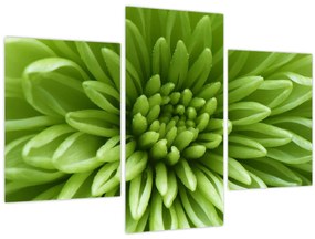 Tablou - Imagine macro a unei plante (90x60 cm)