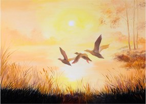 Tablou pe sticlă - Macarale la apus de soare (70x50 cm)