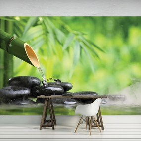 Fototapet - Relaxare în verde (254x184 cm)