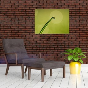 Tablou pe sticlă cu picătură de apă pe iarbă (70x50 cm)