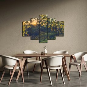 Tablou - Podgorii (150x105 cm)