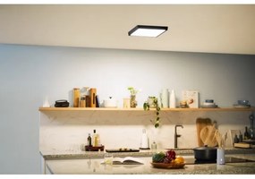 Plafonieră LED MAGNEOS LED/20W/230V 2700K neagră Philips