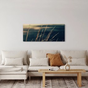 Tablou cu ierburi (120x50 cm)