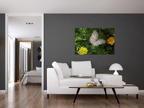 Tablou - fluture alb (90x60 cm)