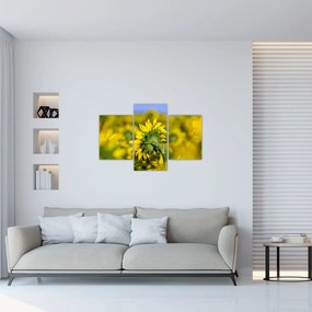 Tablou cu floarea soarelui (90x60 cm)