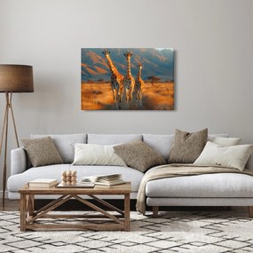 Tablou - Girafe pe pășune (90x60 cm)