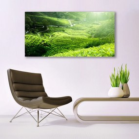 Tablou pe panza canvas Meadow Natura verde