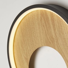 Aplica de perete LED design ambiental Curio
