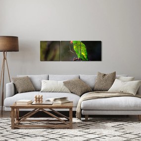 Tablou cu papagal pe greangă (cu ceas) (90x30 cm)