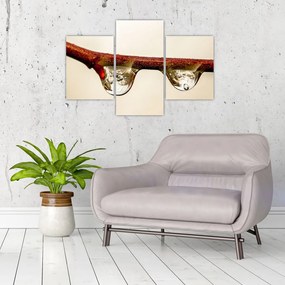 Tablou cu picături de apă pe creangă (90x60 cm)
