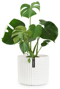 Ghiveci Hasselt din polistiren, realizat manual, potrivit pentru plante cu aspect 3D.
