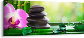 Tablou cu pietre pentru masaj și orhidee (120x50 cm)