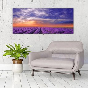 Tablou câmpului cu lavandă (120x50 cm)