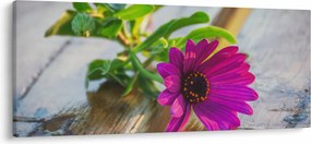 Tablou flori tăiate (120x50 cm)