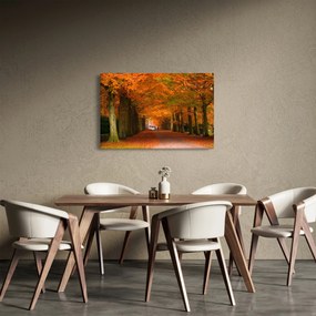 Tablou - Bulevardul de copaci în toamnă (90x60 cm)