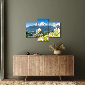 Tablou - Primăvara în Alpi (90x60 cm)