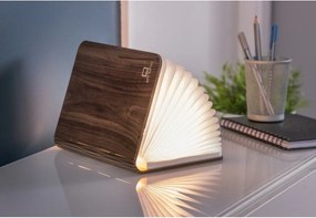 Decorațiune luminoasă maro cu USB Booklight – Gingko