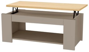 Măsuță de cafea gri cu aspect de lemn de stejar 105x47 cm Emerald – Støraa