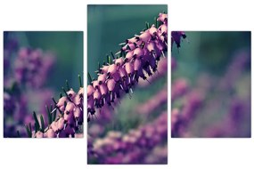 Tablou cu floare violetă (90x60 cm)