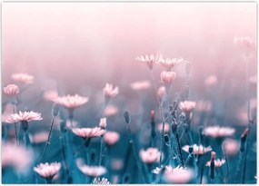 Tablou - Plante din pădure (70x50 cm)