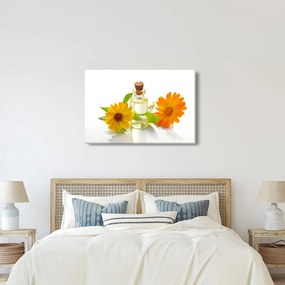 Tablou cu ulei de flori (90x60 cm)