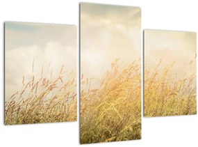 Tablou - Câmp toamna (90x60 cm)