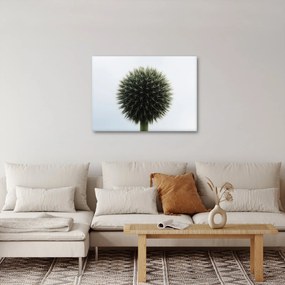 Tablou - Sfere de flori (70x50 cm)