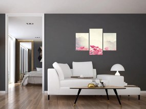 Tablou - Maci (90x60 cm)