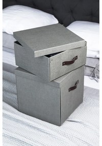 Cutie de depozitare cu capac Logan – Bigso Box of Sweden