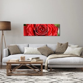 Tablou - Flori de trandafir (cu ceas) (90x30 cm)