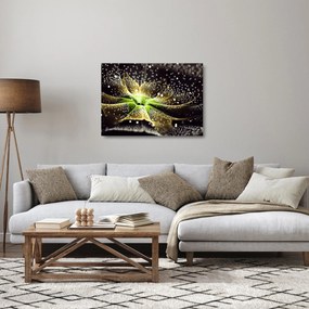 Tablou pe sticlă - Detaliu florii (70x50 cm)
