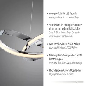 Lustră LED dimabilă pe cablu Paul Neuhaus 8291-17 MELINDA LED/30W/230V