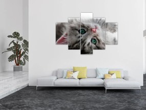 Tablou - Pisica cu ochi verzi (150x105 cm)