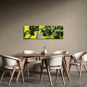 Tablou - frunze de arțar (cu ceas) (90x30 cm)