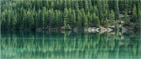 Tablou - Coniferi lângă lac (120x50 cm)