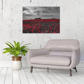 Tablou pe sticlă cu maci (70x50 cm)