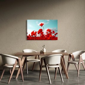 Tablou - Câmp cu flori roșu deschis (90x60 cm)