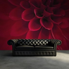 Fototapet, Dahlia, Rebel Walls