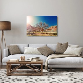 Tablou cu cu copac în deșert (90x60 cm)